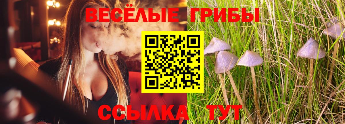 Псилоцибиновые грибы Psilocybine cubensis  Галлюциногенные грибы GOLDEN TEACHER  Вход с VPN  Новодвинск 